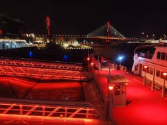 -丹东路渡口(轮渡站)