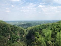 -川西竹海景区