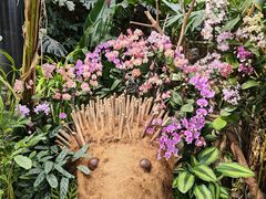 -北京植物园-展览温室