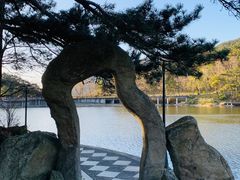 -庐山风景区花径公园