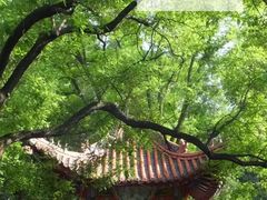 -陕西师范大学(雁塔校区)