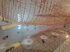 -金泽21世纪美术馆