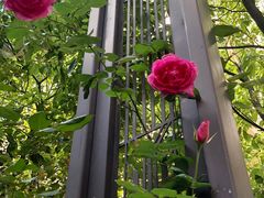 -陈记锅盖面(长江路店)