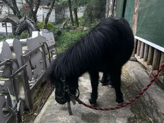 -巴倒烫陆派火锅山庄(南山总店)