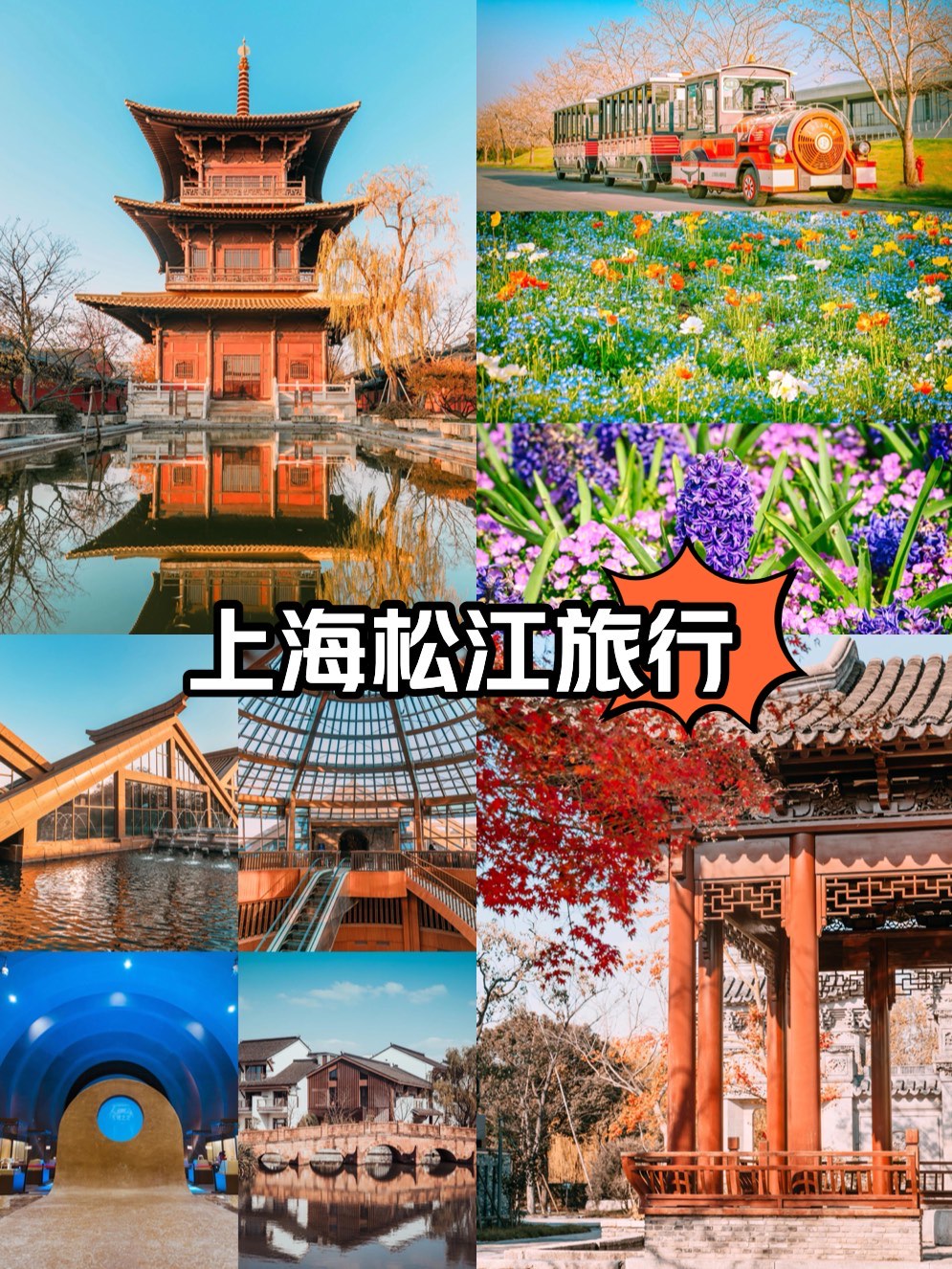 松江旅游logo设计理念图片