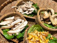 -滇野云南野生菌餐厅(陕西南路店)