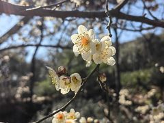 -雨花胜境
