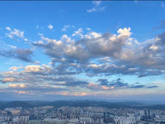 -长虫山生态公园风景林