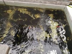 -塘栖枇杷特色园区