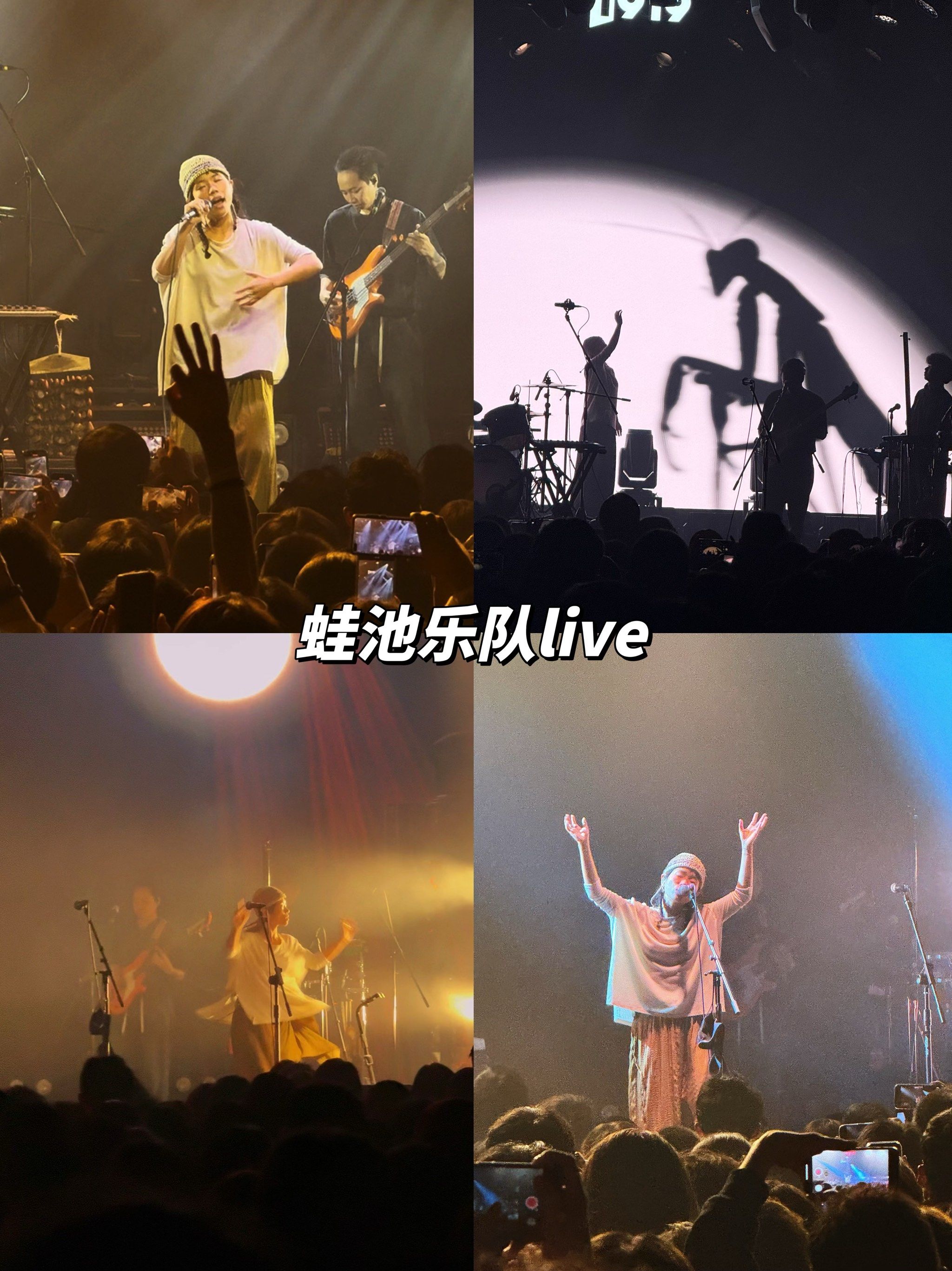 live图|金依依的生命力 松弛感,谁懂呀!