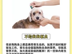 -美联众合动物医院·24h转诊中心