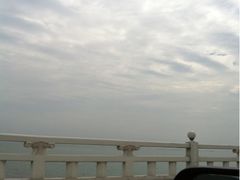 -新木器时代餐厅(太湖新天地店)