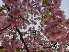 -COSTA COFFEE(上海虹口公园店)