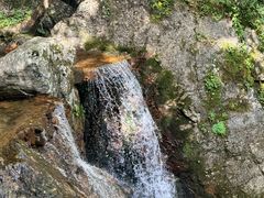 -牛背梁国家森林公园