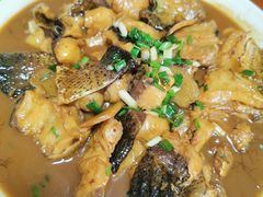 -全乐鱼馆·淳牌有机鱼直营店