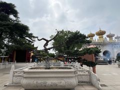-上海东林寺(金山区)
