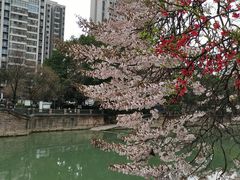 -红星桥(地铁站)