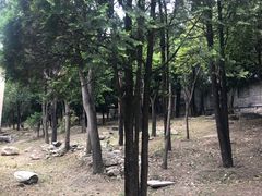 -天龙八部武侠城