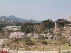 -磁器口古镇