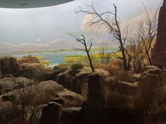 -水洞沟旅游区