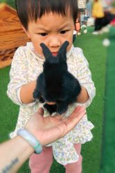 -萌宠亲子动物乐园(槐房万达店)