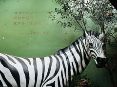 -大水的店(昙华林店)