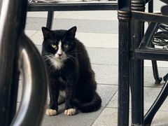 -京北渔家傲