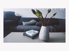 -双季花艺园艺市场(浦东店)