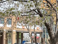 -山东省青岛第二中学(江西路分校)