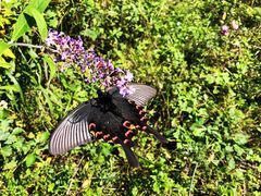 -金堂县云顶石城风景区