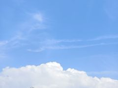 -武汉动物园