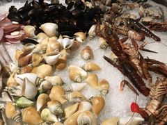 -新加坡雅庭假日酒店