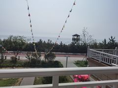 -日照海滨国家森林公园