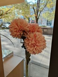 -Oasis Beauty水磨坊科技美肤中心