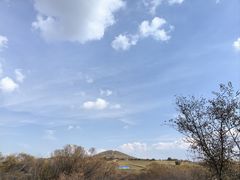 -御道口草原森林风景区