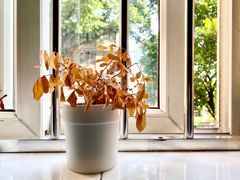 -星海音乐学院(沙河校区)