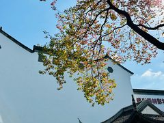 -万达影城(银兴菲林店)