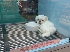 -FAELING PETS美天灵宠物(合生汇店)