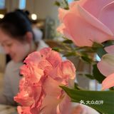 Tomacado花厨