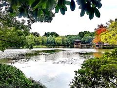 -西湖游船