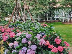-漫花庄园