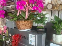 -FEI FEI FLOWER鲜花店·气球派对·宝宝宴布置(虹口德必运动Loft店)
