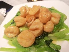 菜心鱼面筋-燕云楼(云南路店)