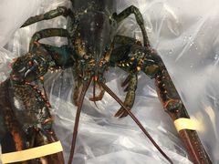 -盒马鲜生(大成店)