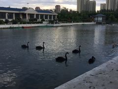 -菊园百果园