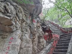-北京上方山国家森林公园