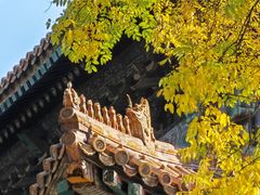 -北京国子监胡同