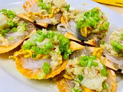 扇贝-老三鱼仔店