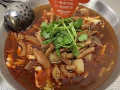 -古乐牛香·鲜牛肉牛杂火锅(高新店)