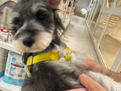 -comecome来吧宠物(奥克斯中心店)